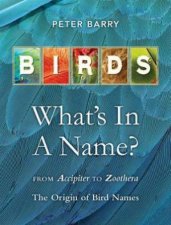 Birds Whats In A Name