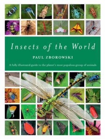 Insects Of The World by Paul Zborowski