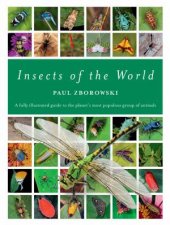 Insects Of The World