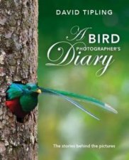 A Bird Photographers Diary