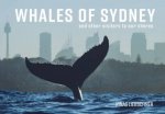 Whales Of Sydney