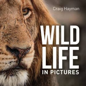 Wildlife in Pictures by New Holland Publishers