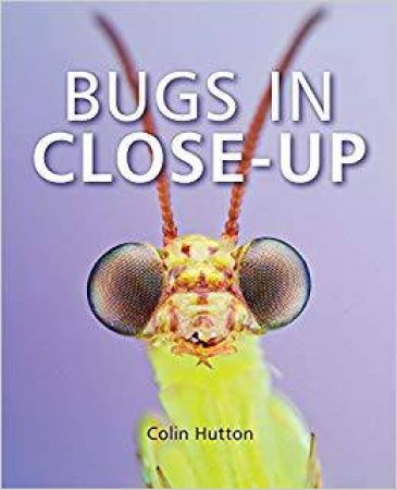 Bugs In Close-Up by Colin Hutton