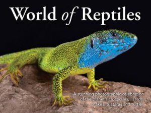 World Of Reptiles by Various