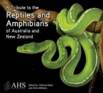 Tribute To Reptiles Amphibians Of Australia