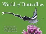 World Of Butterflies