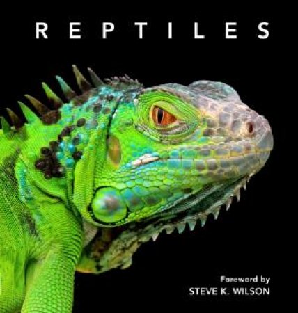 Reptiles by Steve Wilson