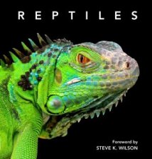 Reptiles