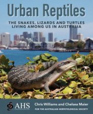 Urban Reptiles The Snakes Lizards and Turtles Living Among Us in Australia