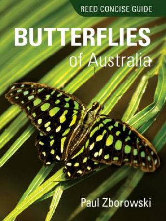 Reed Concise Guide To Butterflies Of Australia