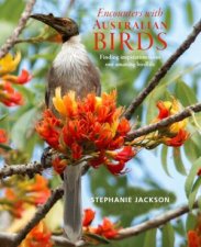 Encounters With Australian Birds