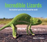 Incredible Lizards One Hundred Species From Around The World