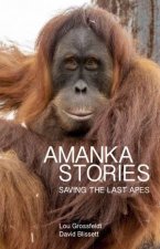 Amanka Stories Saving The Last Apes