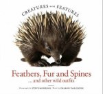 Creatures With Features Feathers Fur And Spines