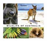 Wildlife Of Australia