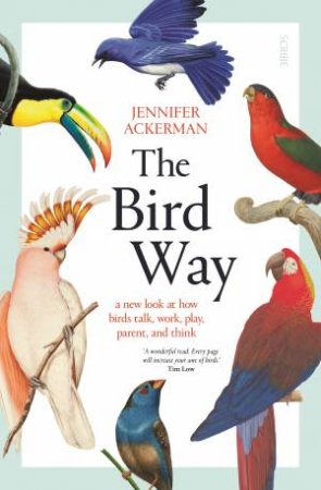 The Bird Way by Jennifer Ackerman