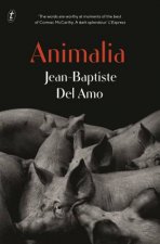 Animalia