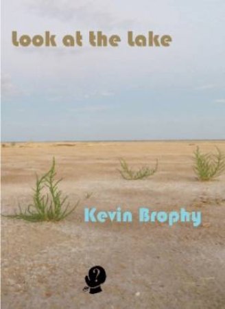 Look At The Lake by Kevin Brophy