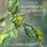 Celebrating Australias Magnificent Wildlife