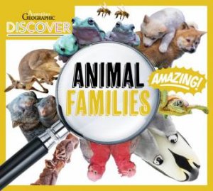 Australian Geographic Discover: Animal Families by Various