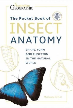 The Pocket Book Of Insect Anatomy by Marianne Taylor