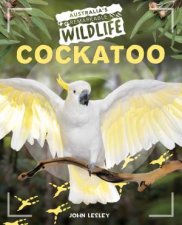 Australias Remarkable Wildlife Cockatoo