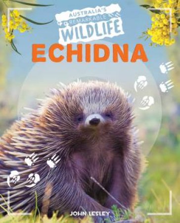 Australia's Remarkable Wildlife: Echidna by John Lesley