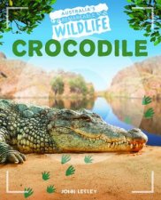 Australias Remarkable Wildlife Crocodile