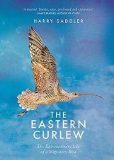 The Eastern Curlew