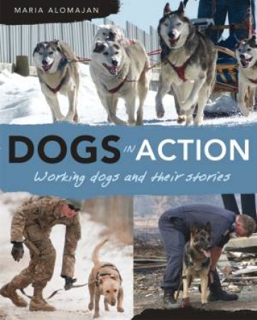 Dogs in Action by Maria Alomajan