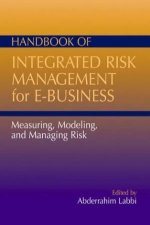 Handbook Of Integrated Risk Management For EBusiness