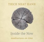 Inside the Now Meditations on Time
