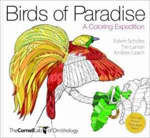Birds of Paradise: A Colouring Expedition by Andrew Leach & Edwin Scholes & Tim Laman