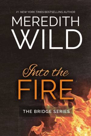 Into The Fire by Meredith Wild