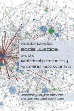 Social Media Social Justice And The Political Economy Of Online Networks