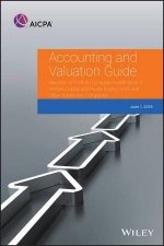 Accounting And Valuation Guide