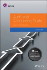 Audit And Accounting Guide State And Local Governments 2019