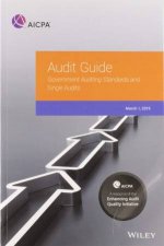 Government Auditing Standards And Single Audits 2019