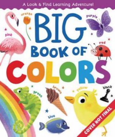 The Big Book Of Colors by Margarita Kukhtina & Clever Publishing