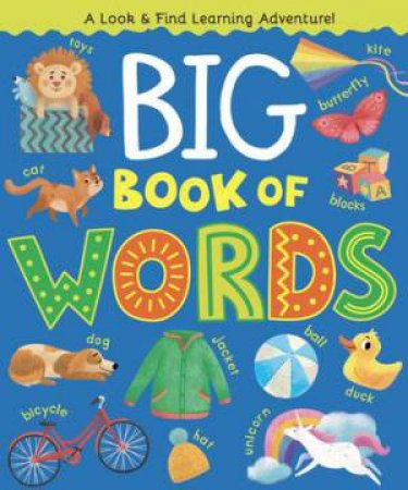 The Big Book Of Words by Margarita Kukhtina