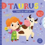 Clever Zodiac Signs Taurus