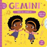 Clever Zodiac Signs Gemini