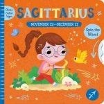 Clever Zodiac Signs Sagittarius