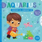 Clever Zodiac Signs Aquarius