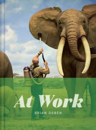 At Work by Brian Doben