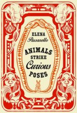 Animals Strike Curious Poses