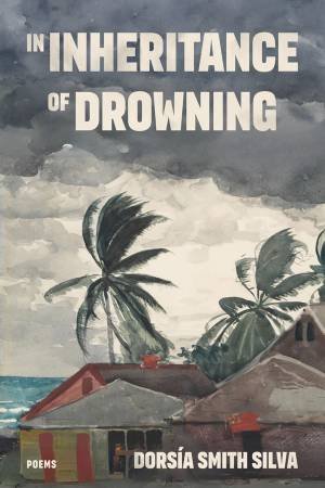 In Inheritance of Drowning by Dorsia Smith Silva & Vincent Toro