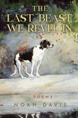 The Last Beast We Revel In by Noah Davis