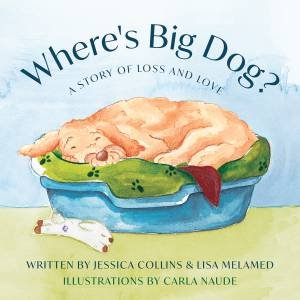 Where's Big Dog? by Jessica Collins & Lisa Melamed & Carla Naude