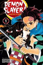 Demon Slayer Kimetsu no Yaiba 01